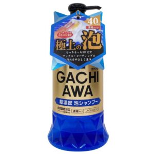 Prostaff Gachiawa Car Shampoo 760 ml